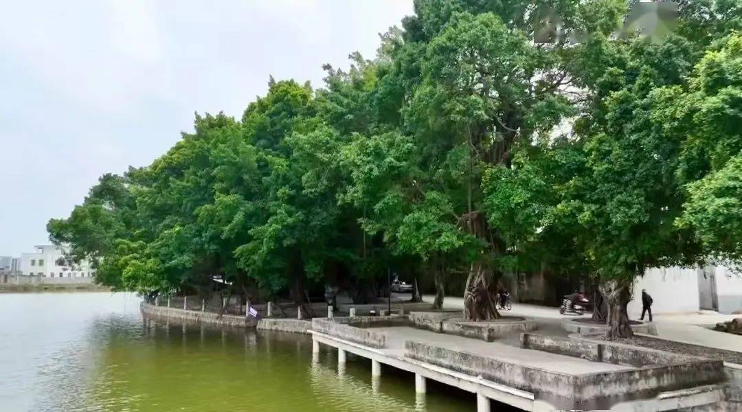 头牛肉火锅看这座城市的服务智慧PG电子麻将胡了2模拟器从汕(图2)