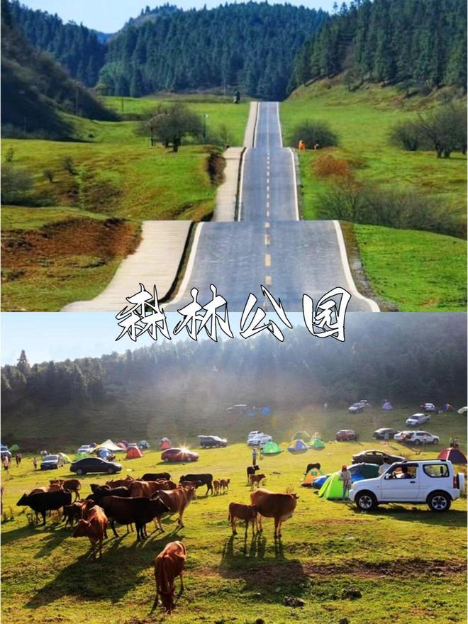 美规划武隆天生三桥+火锅美食全攻略PG麻将胡了试玩重庆旅游四天三晚完(图3)